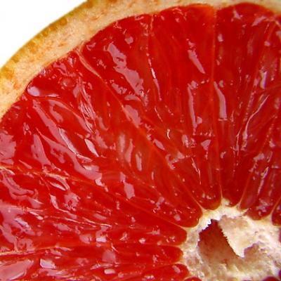 0209/Grapefruit0207.jpg 0209/Grapefruit0207.jpg