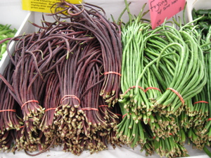 0209/LongBeans0207.jpg 0209/LongBeans0207.jpg