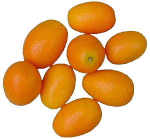 0309/Kumquat20328.gif