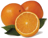 0309/NavelOranges0328.gif