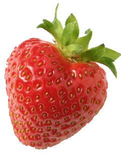 0309/Strawberry0329.gif