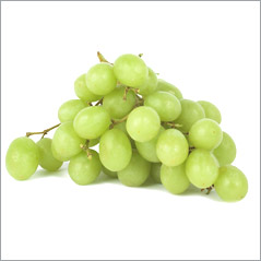 0409/Grapesgreen0404.jpg