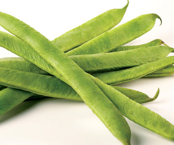0409/Greenbeans0404.jpg