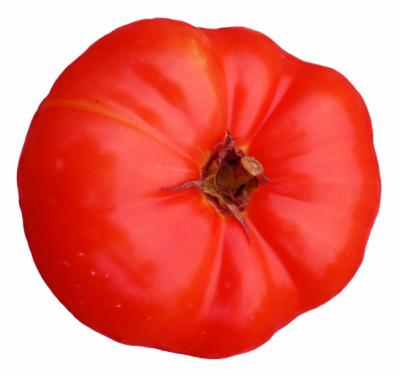 0409/Tomato0404.jpg