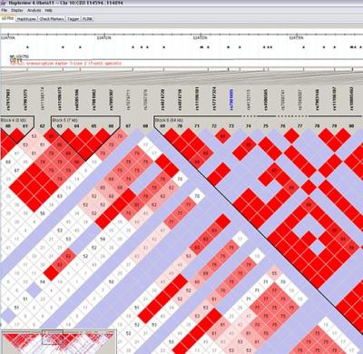 0708/HapMap0710.jpg 0708/HapMap0710.jpg