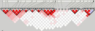 0708/LDMaps0710.jpg 0708/LDMaps0710.jpg