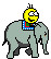 0708/Onanelephant0712.gif