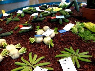 0809/11VeggieDisplay0823.jpg