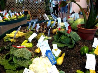 0809/13VeggieDisplay0823.jpg