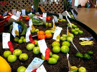 0809/14VeggieDisplay0823.jpg
