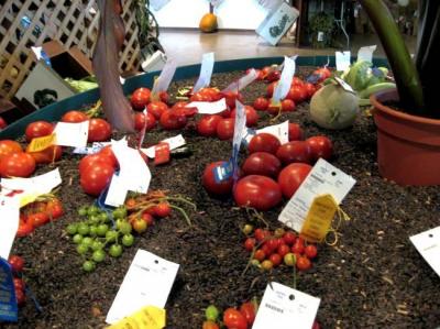 0809/16VeggieDisplay0823.jpg
