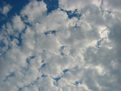 0809/BufSummer230829.png