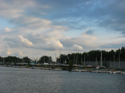 0809/BufSummer360829.png