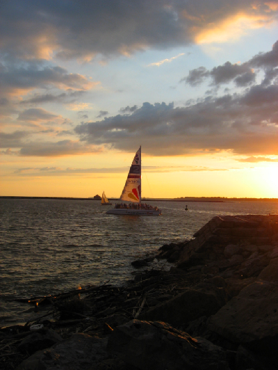 0809/BufSummer470829.png