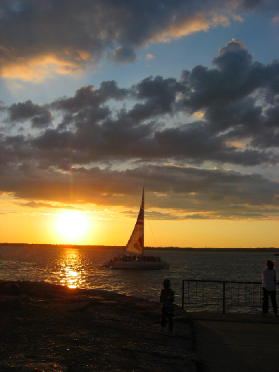 0809/BufSummer480829.png