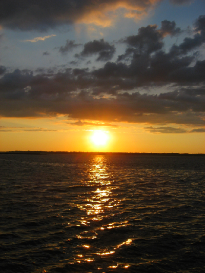 0809/BufSummer500829.png