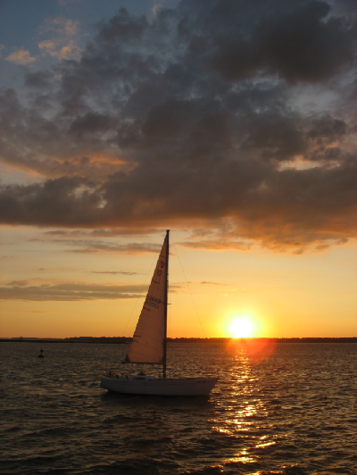 0809/BufSummer520829.png