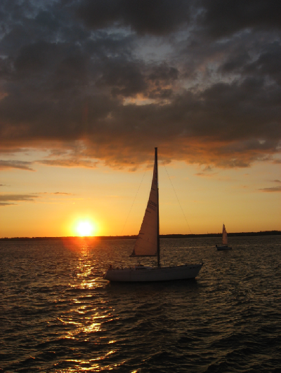 0809/BufSummer530829.png
