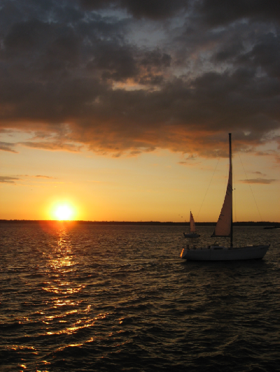 0809/BufSummer540829.png