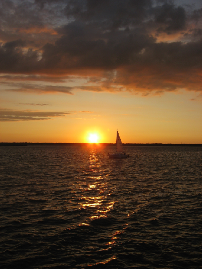 0809/BufSummer550829.png