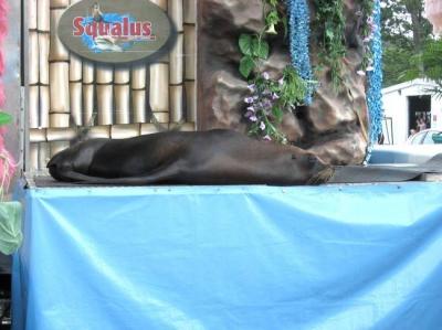 0809/Sealion0823.jpg