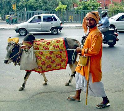 1009/CowinDelhi1025.jpg 1009/CowinDelhi1025.jpg