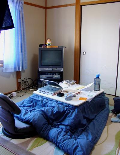 1107/KotatsuTastefulTN1112.jpg