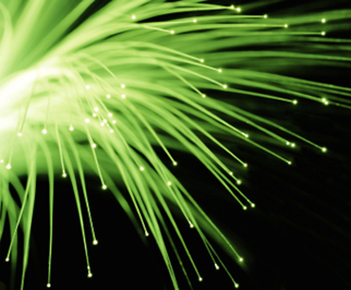 1208/Fibre1207.jpg