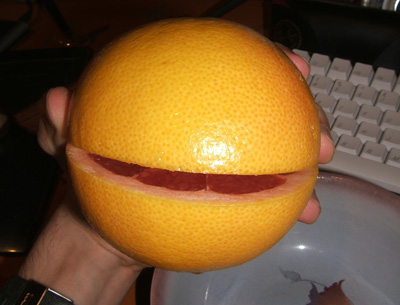 1208/Grapefruit21207.jpg