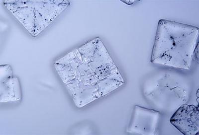 1208/Salt4401226.jpg
