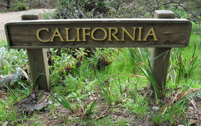 0207/California0215.jpg 0207/California0215.jpg