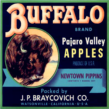 0407/Buffalobrand0422.jpg