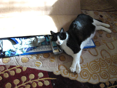 0708/Helper30706.jpg 0708/Helper30706.jpg