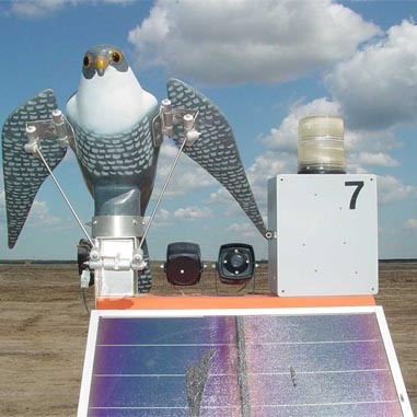0906/robofalcon1803.jpg