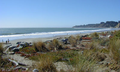 1004/beach-right2129.jpg 1004/beach-right2129.jpg