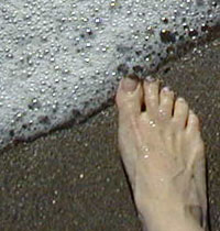 1004/toe3551.jpg 1004/toe3551.jpg