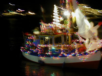 1204/close-up3946.jpg 1204/close-up3946.jpg