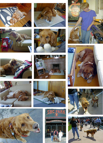 1206/MAGGIE21332.jpg