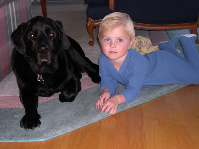 1207/Needsadog1210.jpg 1207/Needsadog1210.jpg