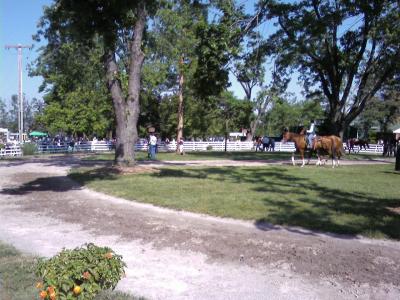 0607/Fe20612.jpg