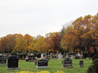 1009/IMG00221028.jpg