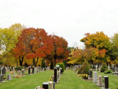 1009/IMG00251028.jpg