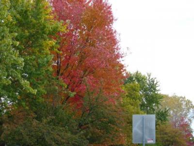 1009/IMG00311021.jpg