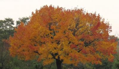 1009/IMG00311028.jpg