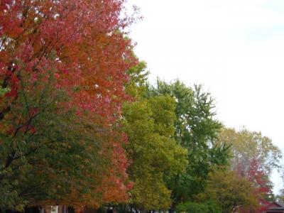 1009/IMG00321021.jpg