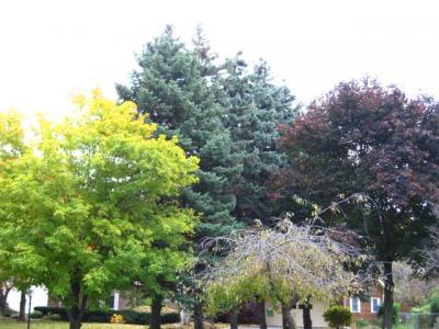 1009/IMG00341021.jpg