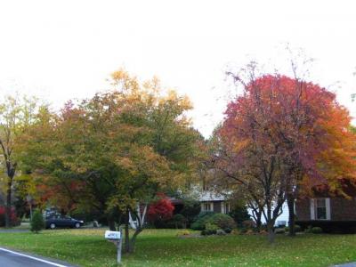 1009/IMG00351021.jpg
