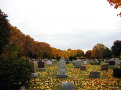 1009/IMG00351028.jpg
