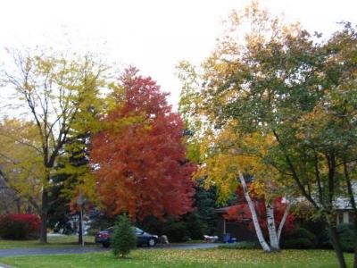 1009/IMG00361021.jpg