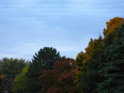 1009/IMG00371021.jpg
